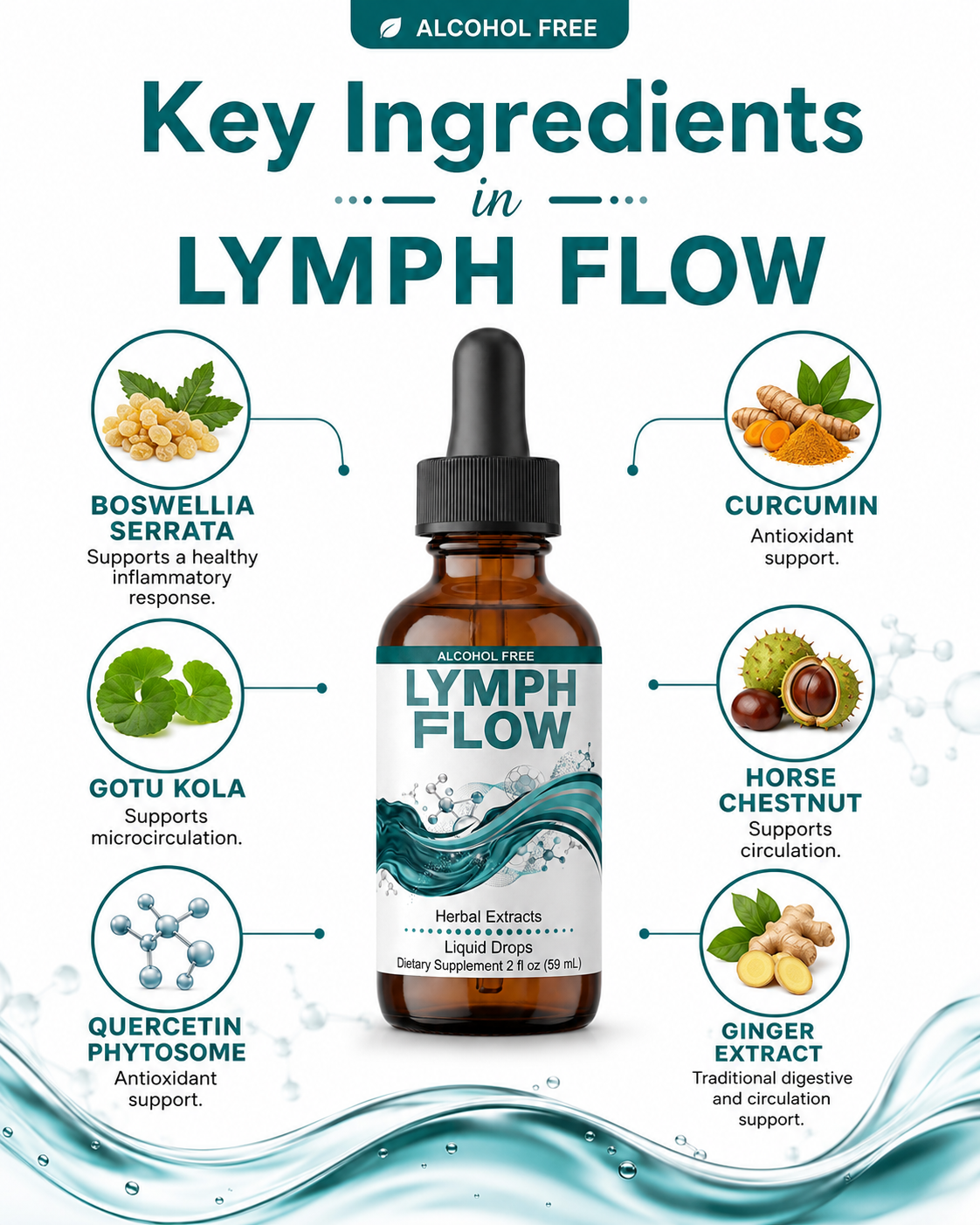 Infographic with key ingredients in Lymph Flow
